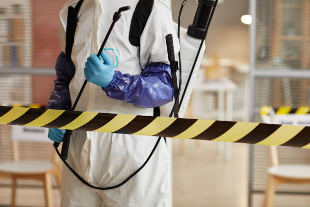 Professional Sewage Cleanup technician working in Woodlake, CA